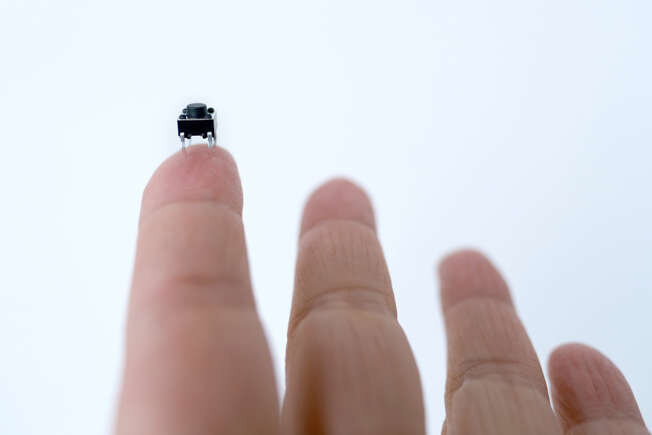 دنیای کوچکترینها در جهان + عکس