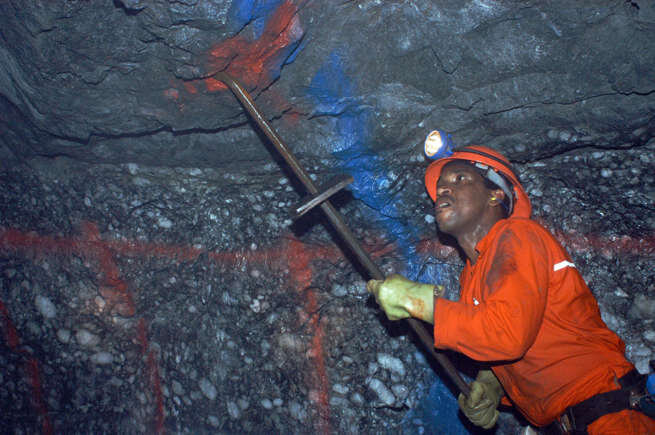 دنیای کوچکترینها در جهان + عکس