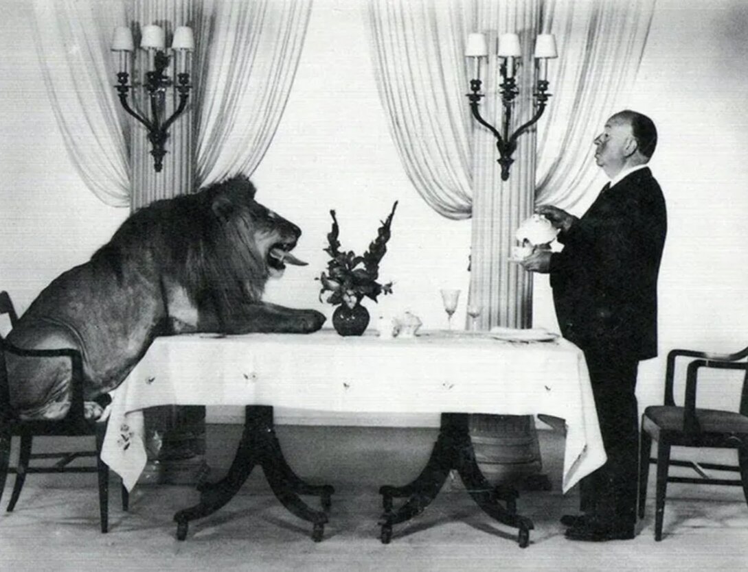 وقایع عجیب جهان در قاب دوربین عکاسان