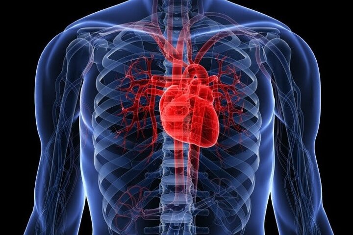 علائم اولیه بیماری عروق کرونر قلب کدام است؟