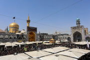 برنامه حرم امام رضا(ع) در سالروز شهادت امام حسن عسکری(ع) اعلام شد+ جزییات