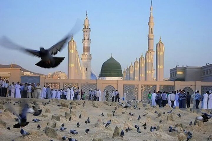 آخرین نگرانی پیامبر