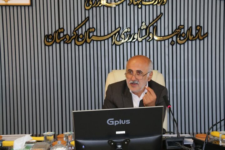 رونق واحدهای راکد صنایع تبدیلی و تکمیلی کردستان در دستور کار قرار دارد