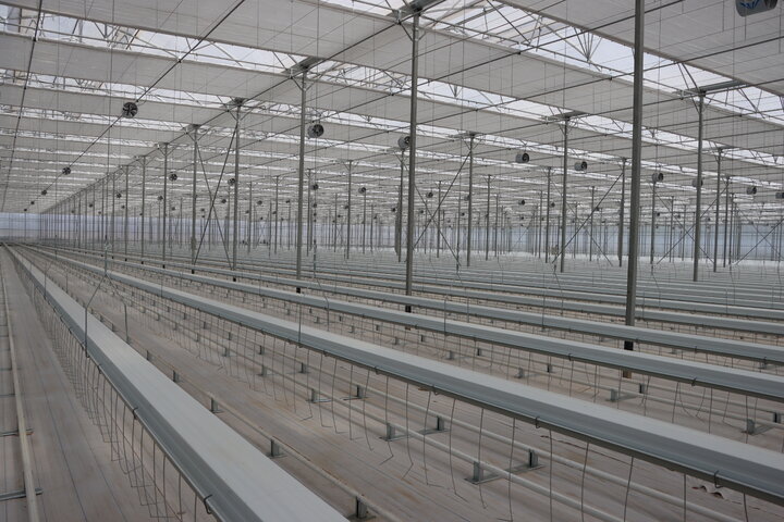 گلخانه هیدروپونیک‌ رفسنجان از طرح‌های شاخص توسعه‌ای کشاورزی در منطقه است