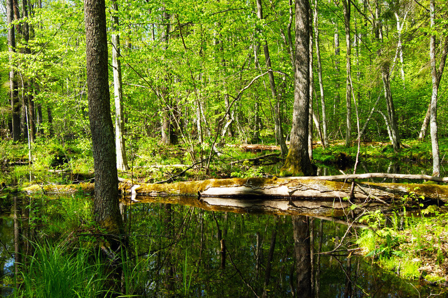 بلاروس؛ سفر به سرزمین هزار دریاچه