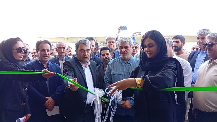 فعالیت بیش از ۱۴۰ واحد پرواربندی دام سبک و سنگین در کهگیلویه و بویراحمد+فیلم