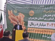 مهم‌ترین هدف‌گذاری صندوق حمایت از توسعه کشاورزی حرکت به سمت کشاورزی بازارمحور است