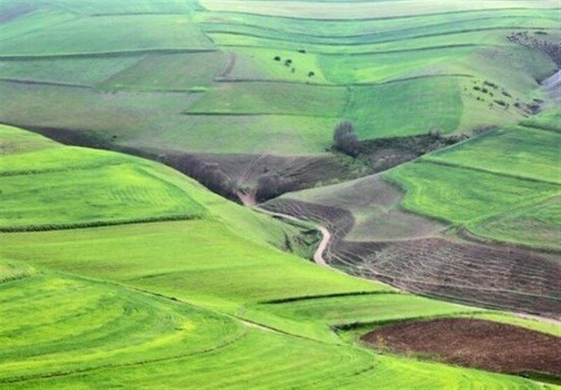 از زندگی عشایری تا بازار جهانی؛ رقص زندگی در دل مغان