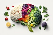 با مواد غذایی مفید برای تقویت مغز آشنا شوید
