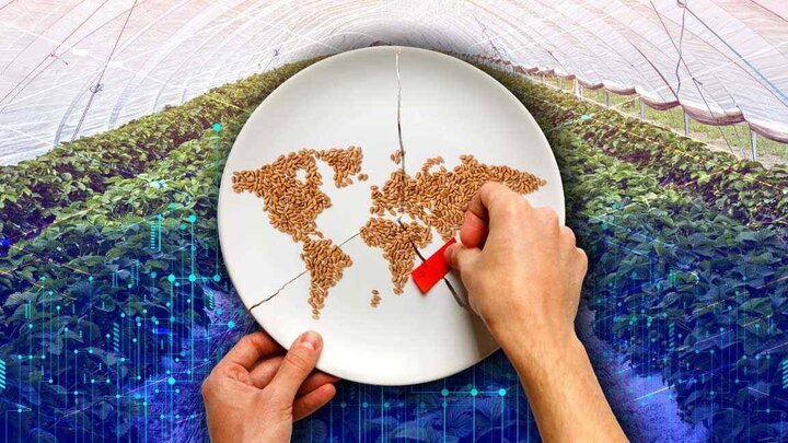 امنیت غذایی به‌عنوان اولویت ملی؛ تجربه‌هایی از کره‌جنوبی، سنگاپور و امارات