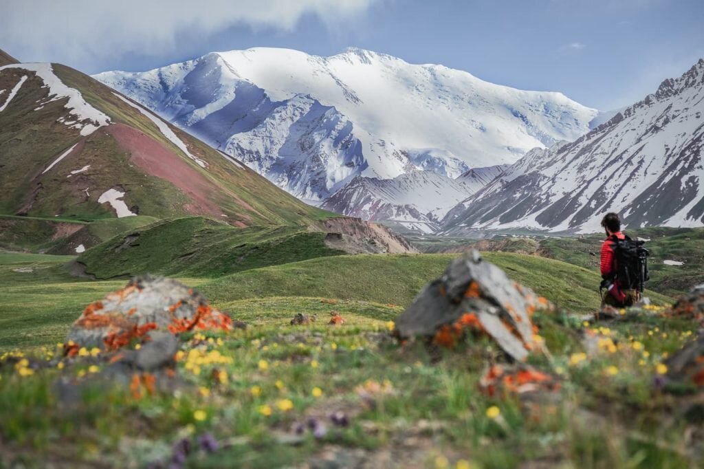 سوئیس آسیا کجاست؟