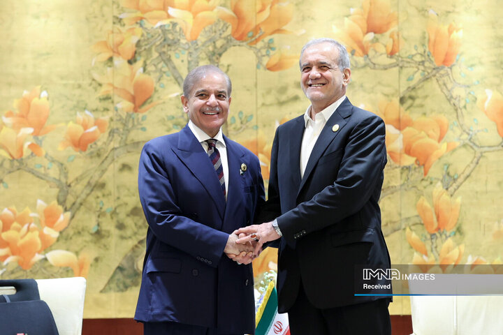 دیدار نخست وزیر پاکستان با رئیس جمهور