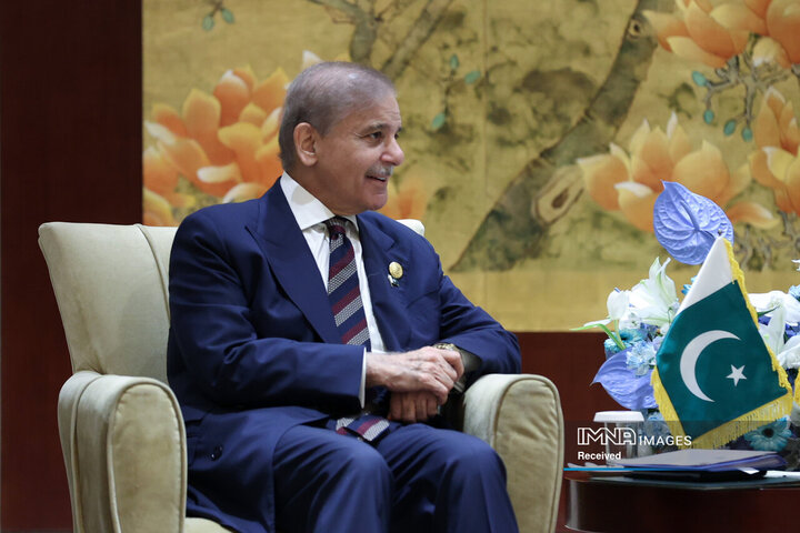 دیدار نخست وزیر پاکستان با رئیس جمهور