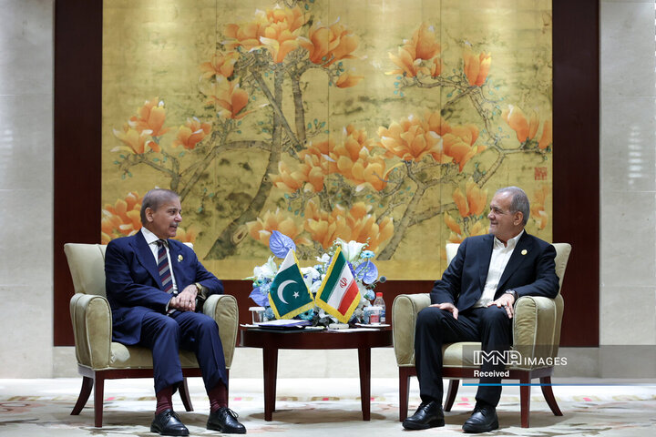 دیدار نخست وزیر پاکستان با رئیس جمهور