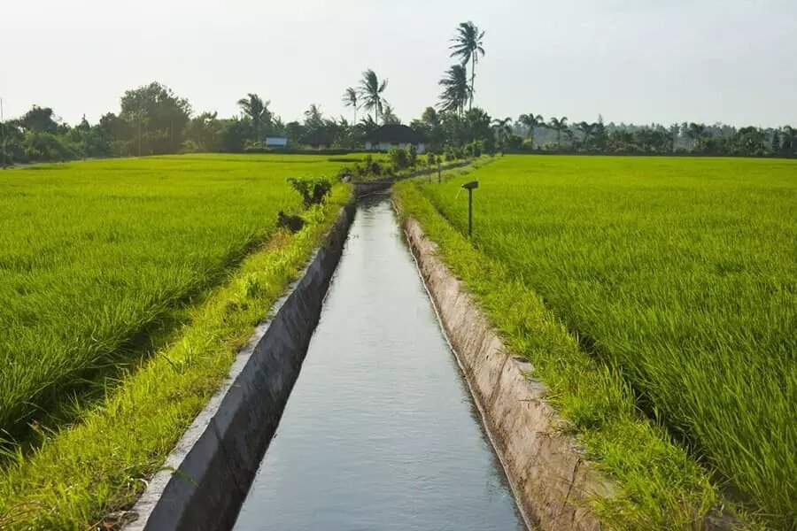 پربارشترین استان ایران گرفتار خشکسالی پنهان
