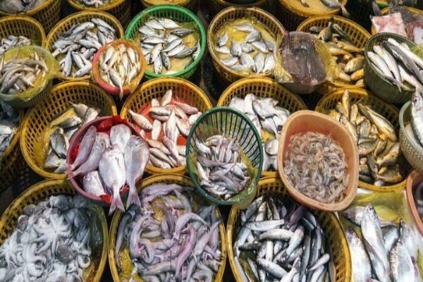 سرانه مصرف آبزیان در خوزستان به ۱۹ کیلوگرم رسیده است