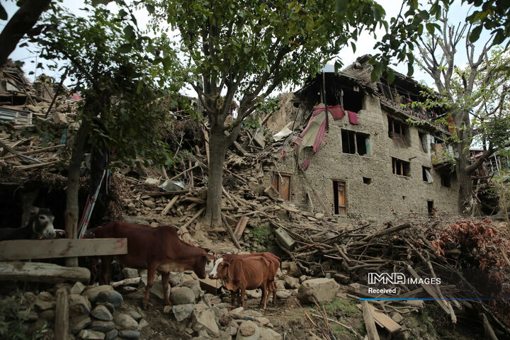 تصاویری از زلزله افغانستان