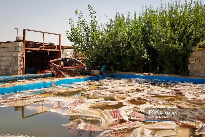 هنر چاپ سفره قلمکار