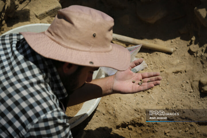 آخرین کشفیات کاوش‌های کمرزرین