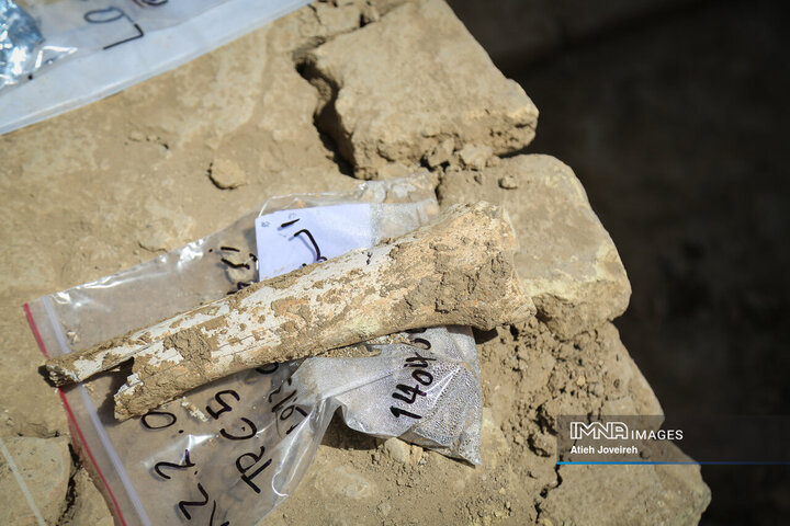 آخرین کشفیات کاوش‌های کمرزرین