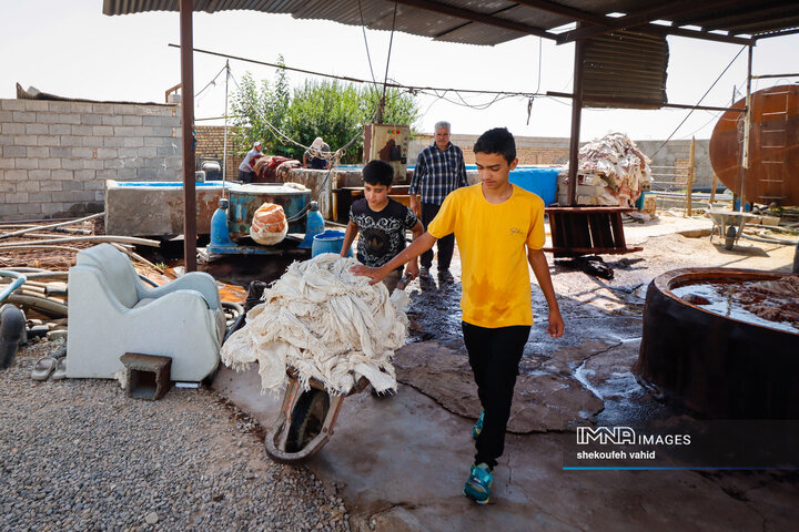 هنر چاپ سفره قلمکار