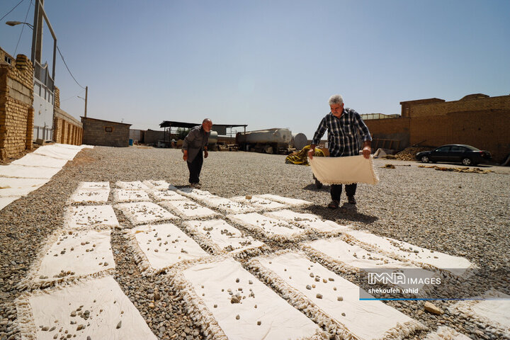 هنر چاپ سفره قلمکار