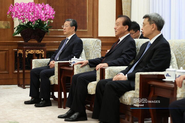 دیدار با عضو کمیته دائمی دفتر سیاسی کنگره ملی خلق چین