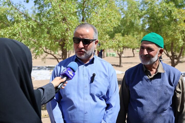 رتبه دوم جهانی خراسان جنوبی در تولید عناب