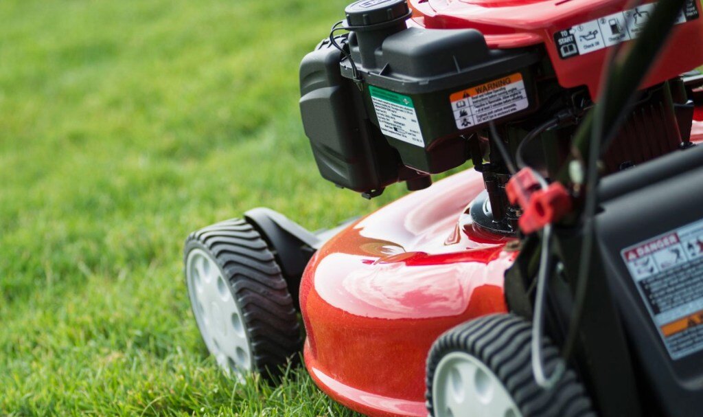 کدام علف زن بهتر است؟