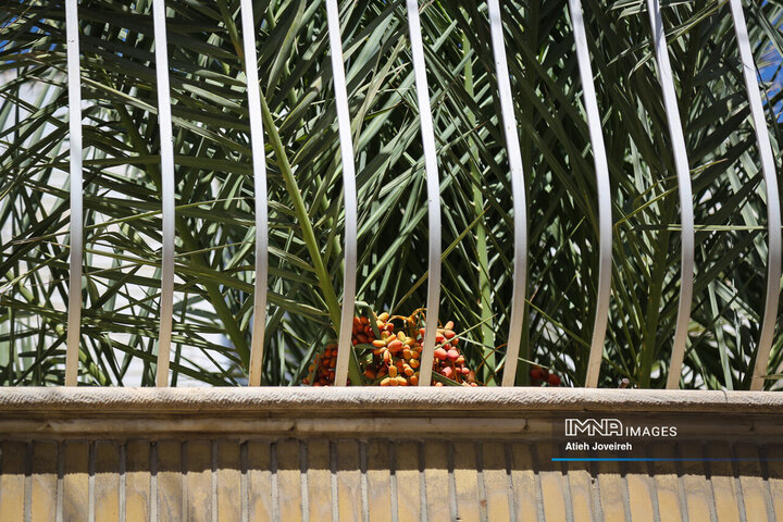 Discovering Seljuk Legacy in Isfahan’s Imamzadeh Esmaeil Neighborhood