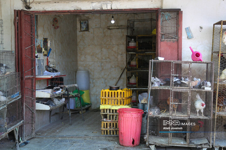 در کوچه پس کوچه‌های شهر اصفهان؛ محله امامزاده اسماعیل(ع)