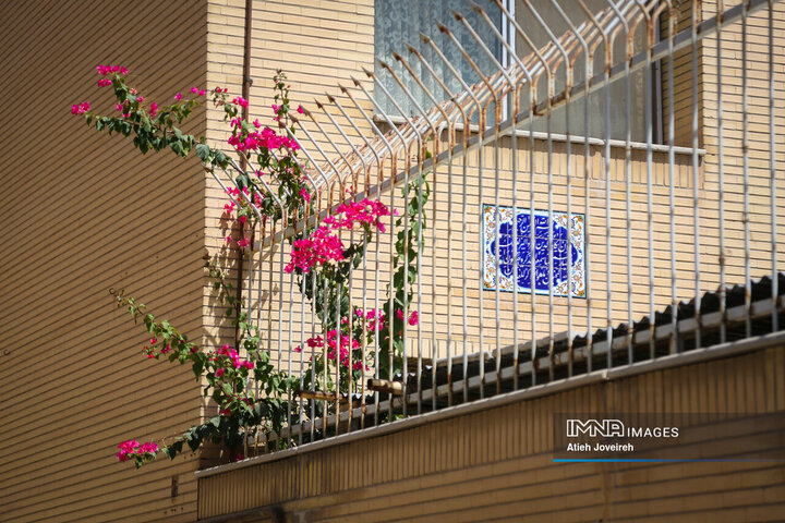 در کوچه پس کوچه‌های شهر اصفهان؛ محله امامزاده اسماعیل(ع)