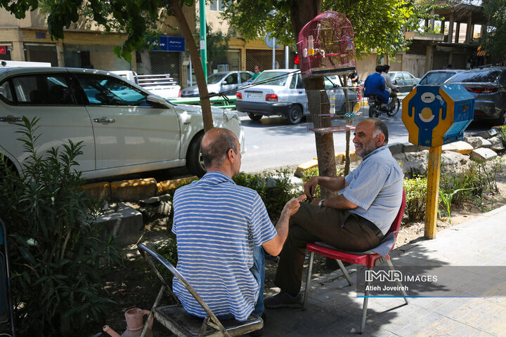 Discovering Seljuk Legacy in Isfahan’s Imamzadeh Esmaeil Neighborhood