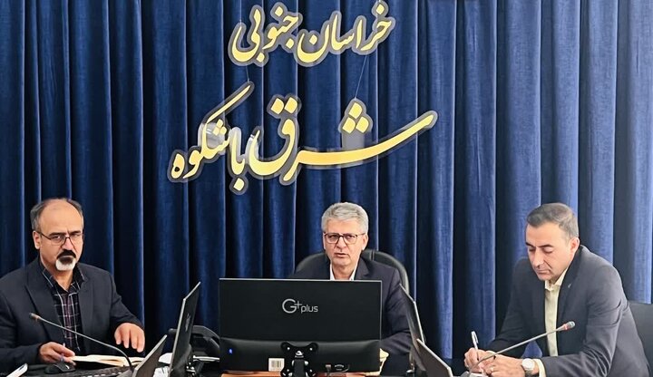 بزرگ‌ترین فرش تصویری تاریخی جهان در بیرجند رونمایی می‌شود