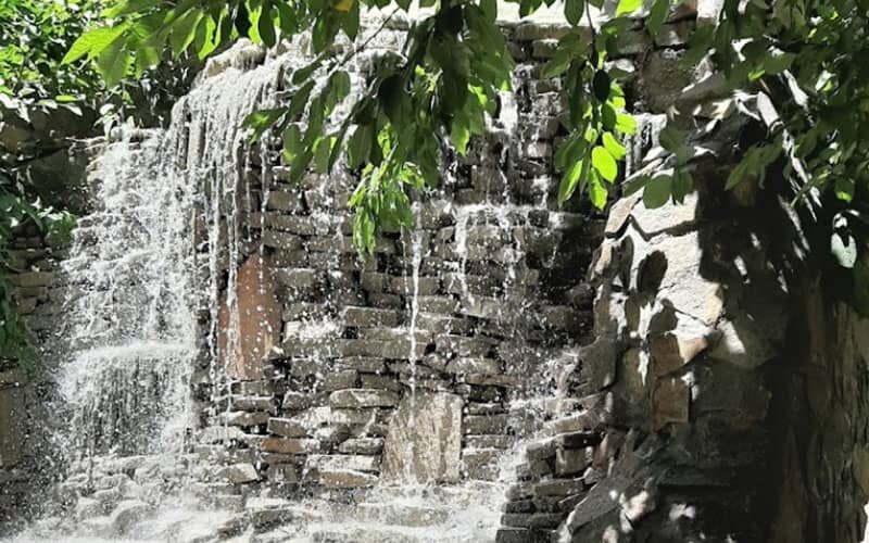 عکس از طبیعت دهبکری