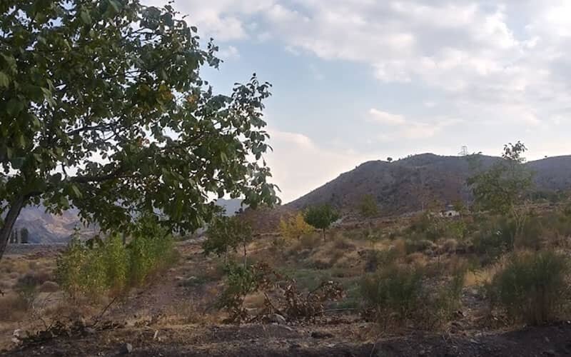 عکس از طبیعت دهبکری