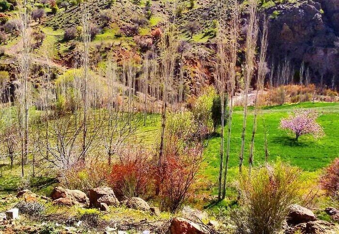 عکس از طبیعت دهبکری