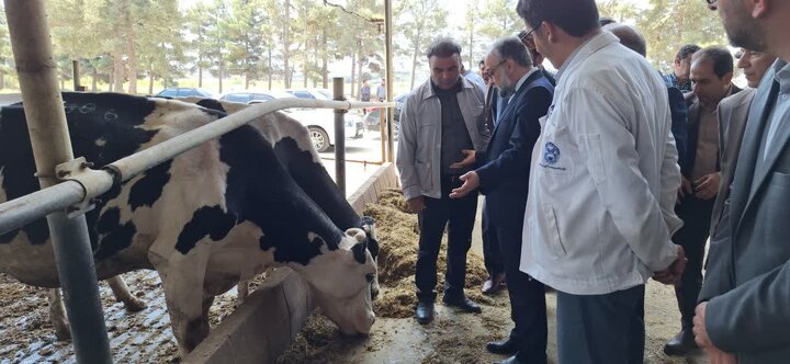 تاکید دادستان اردبیل بر حراست از حقوق بیت‌المال در کشت و صنعت مغان