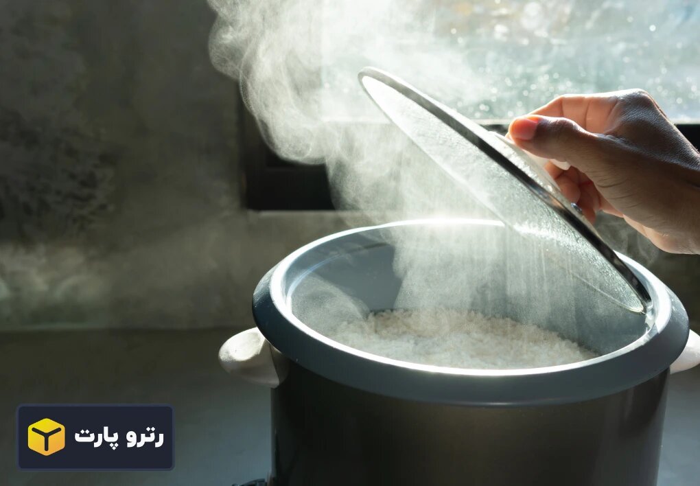 انواع دیگ پلوپز