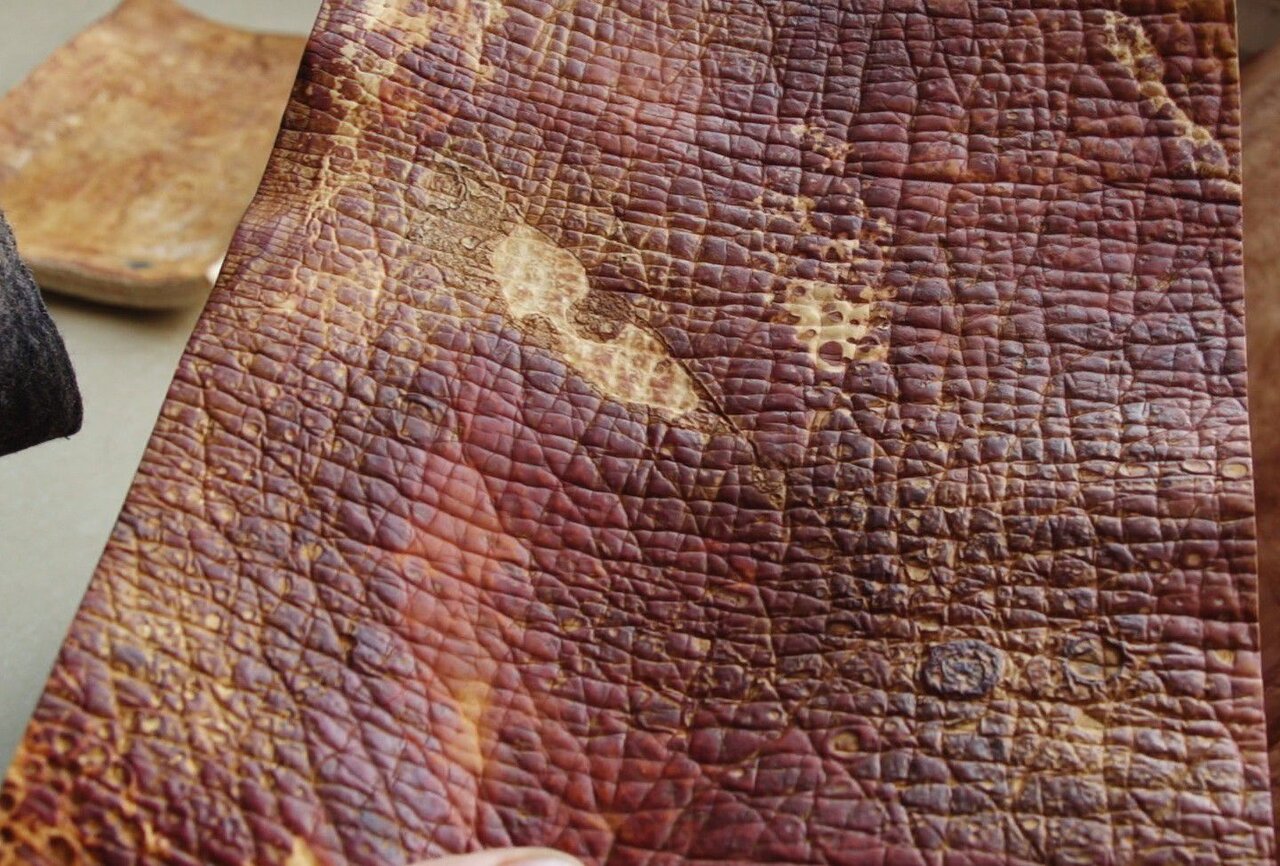 پل ارتباطی صنعت و دانشگاه در تجاریسازی چرم گیاهی