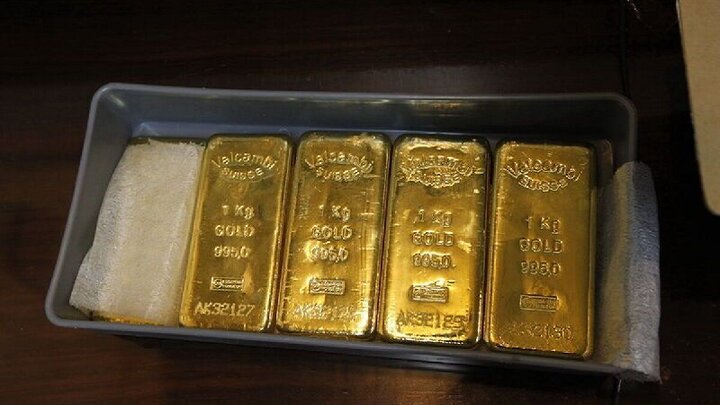 روند تغییر تعداد سرمایه گذاران صندوق طلای گوهر از ابتدای تاسیس تاکنون!