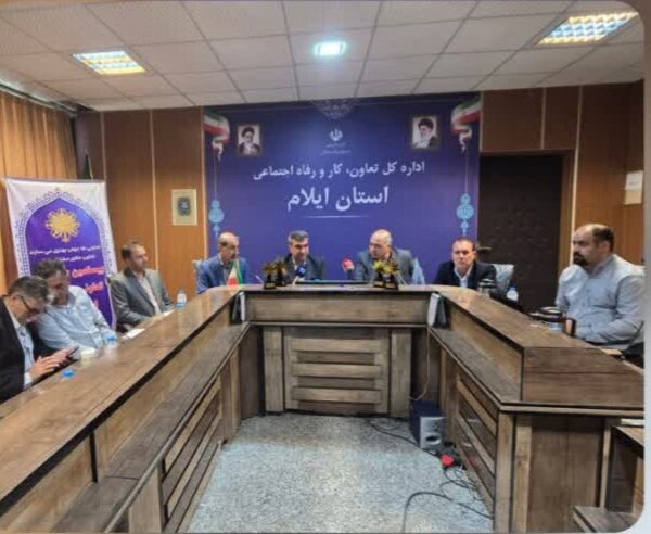 ۶۵ درصد تعاونی‌های ثبت شده در استان ایلام فعال هستند