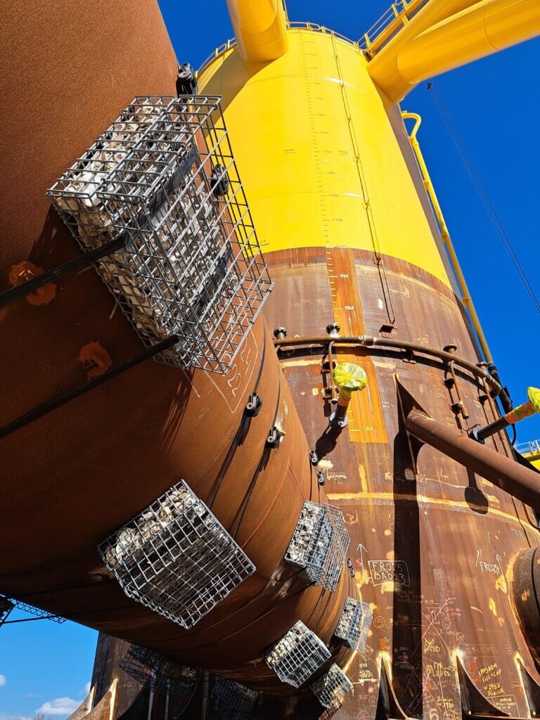 نخستین مزرعه بادی شناور طبیعتمحور در فرانسه اجرا شد