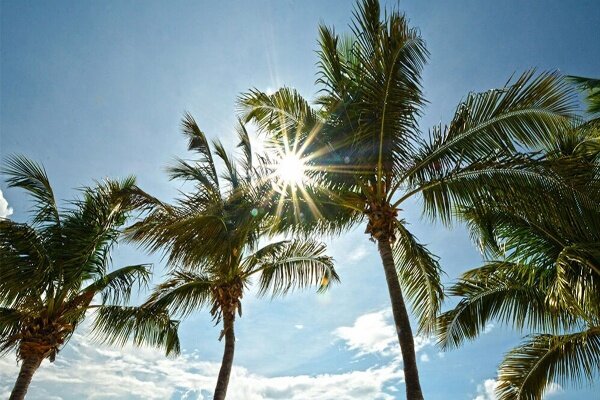 کاهشی شدن دمای هوا در خوزستان