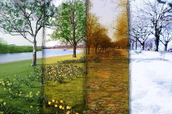 نسخه طبیعت برای تغییر فصل و تاثیر آن بر سلامت روح و جسم