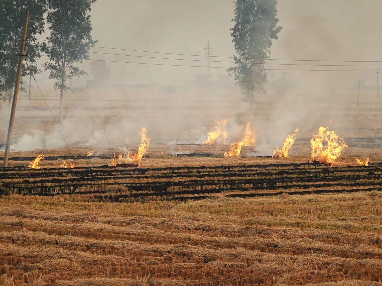 این شهر آلودهترین هوای جهان را دارد + راهکارهای مقابله