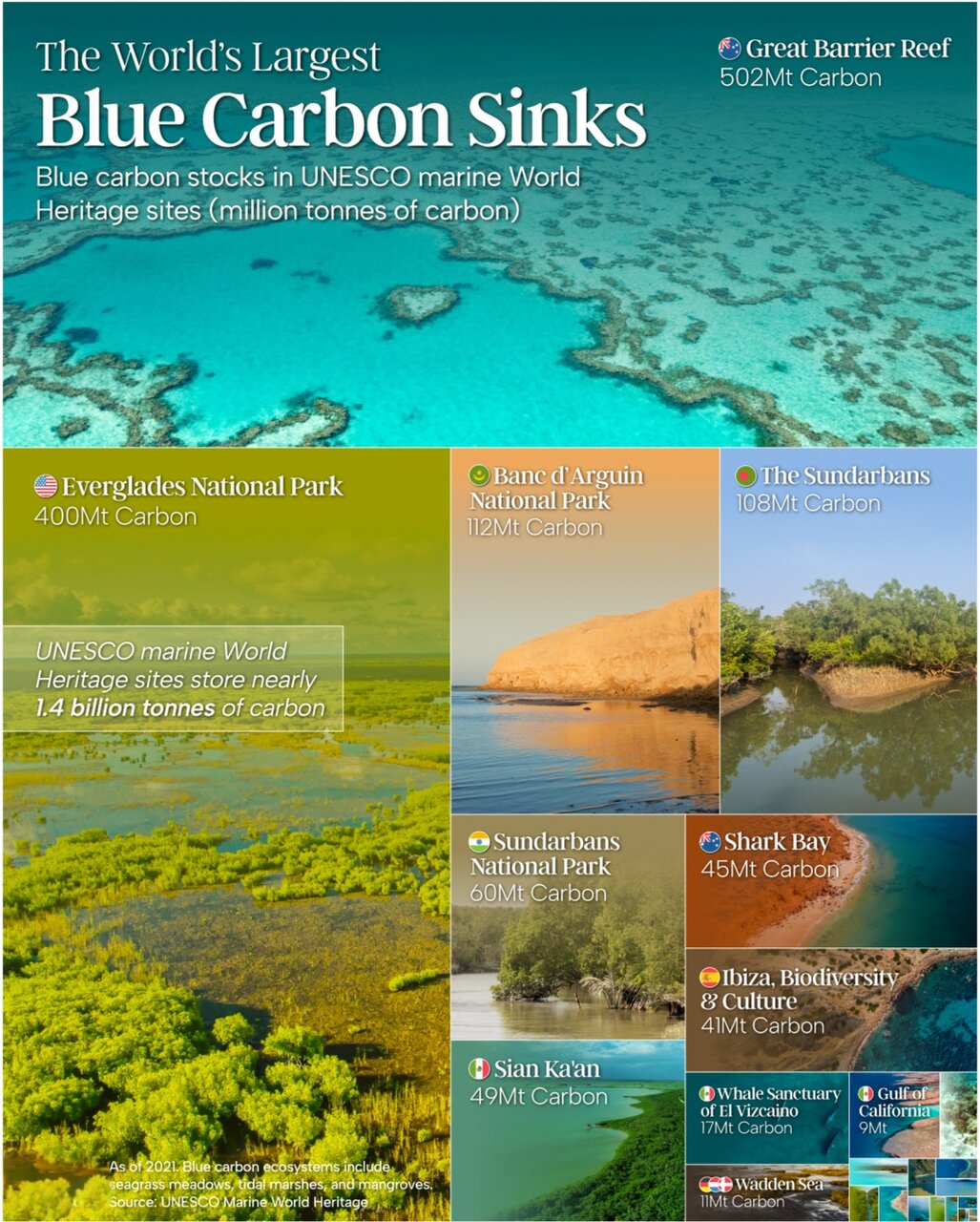 اصلیترین ذخایر عظیم کربن آبی ثبت در میراث جهانی یونسکو + اینفوگرافی