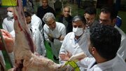 تکمیل زنجیره تولید در کشتارگاه اردبیل هدف‌گذاری شده است