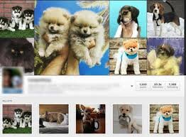 از پیشتازی ایران در کاهش گازهای لایه ازن تا ثبت نخستین تصویر دال معمولی