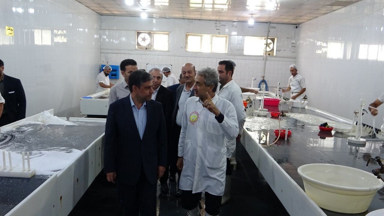 تکمیل زنجیره تولید در کشتارگاه اردبیل هدف‌گذاری شده است